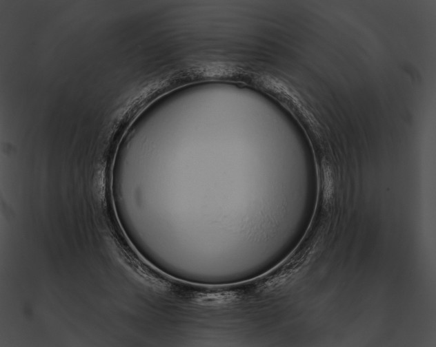 X0000090500447200708031213