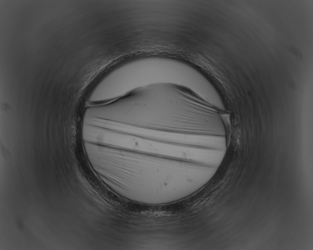 X0000090500448200708031213