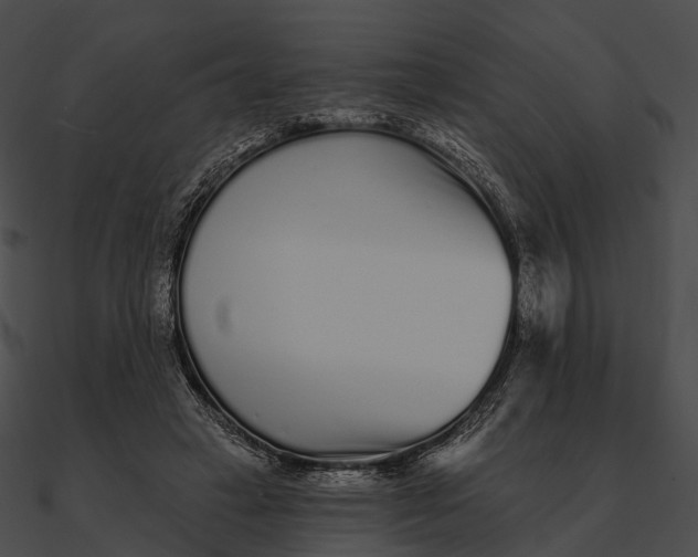 X0000090500449200708031213