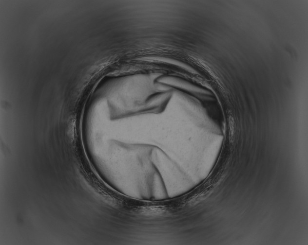 X0000090500451200708031213