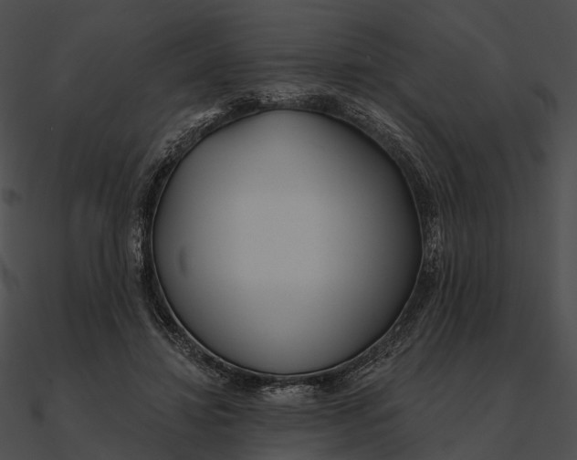 X0000090500452200708031213