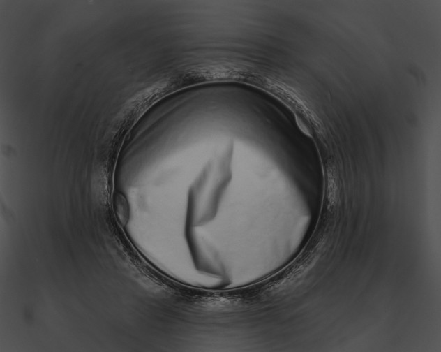 X0000090500453200708031213