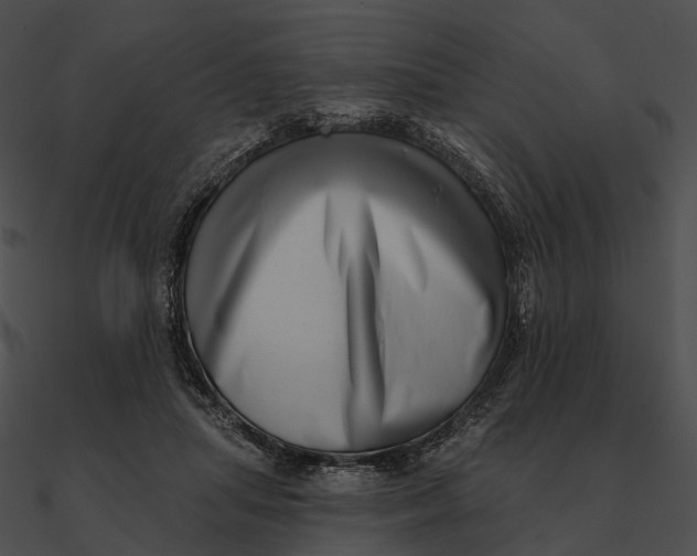 X0000090500455200708031213