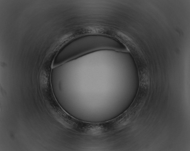 X0000090500456200708031213