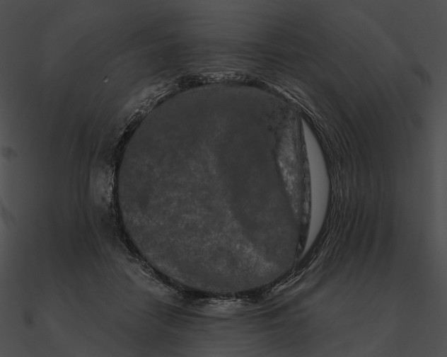 X0000090500458200708031213