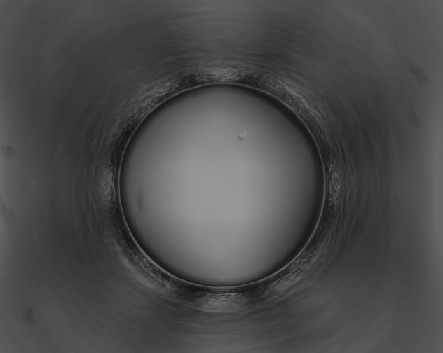 X0000090500459200708031213