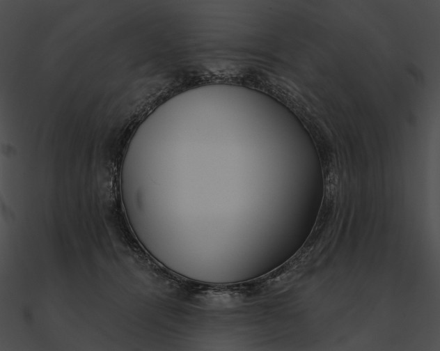 X0000090500464200708031213