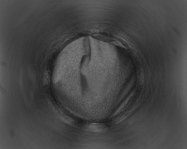 X0000090500467200708031213