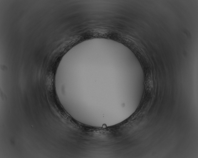 X0000090500468200708031213