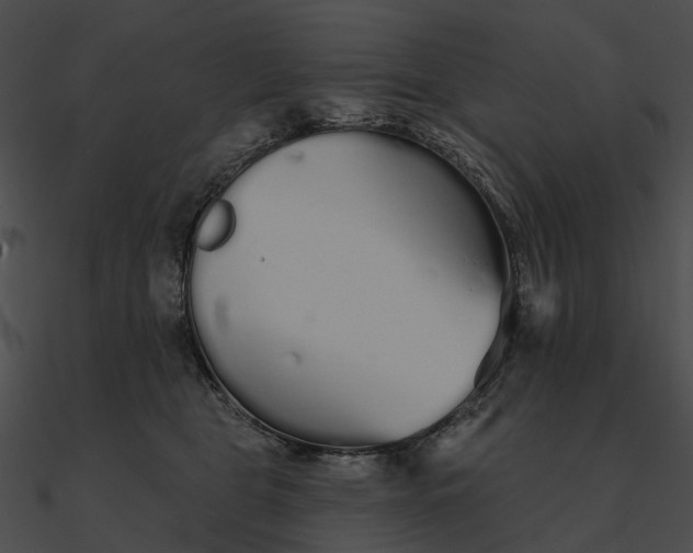 X0000090500469200708031213