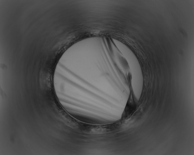 X0000090500470200708031213