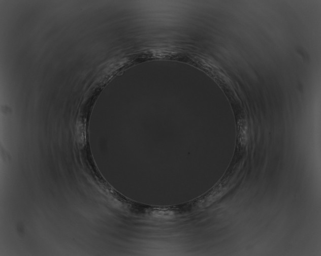 X0000090500471200708031213