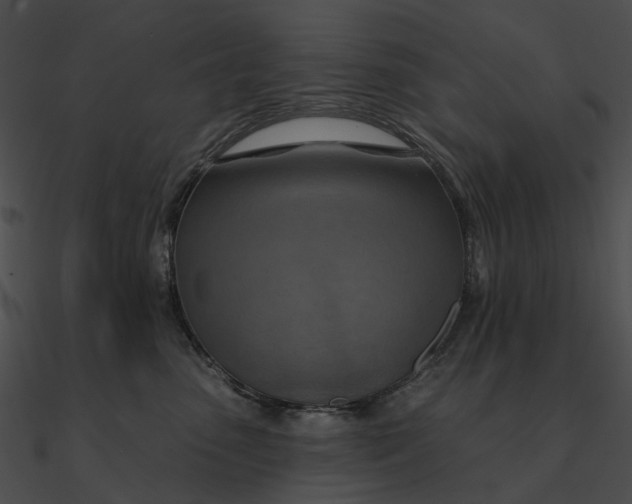 X0000090500475200708031213