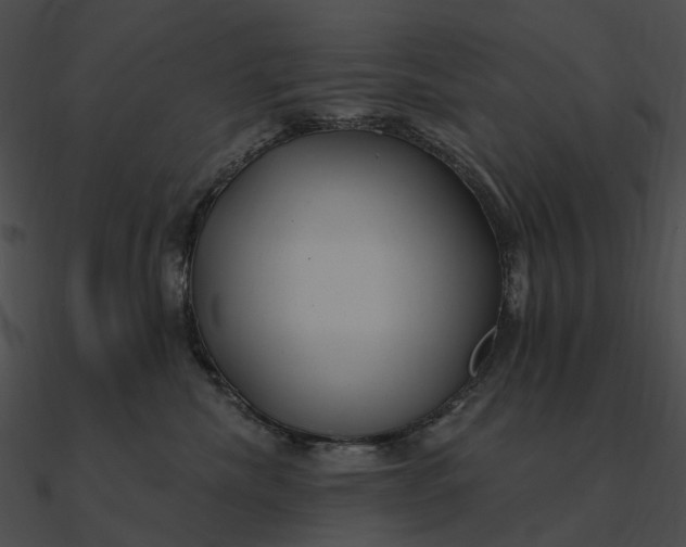 X0000090500476200708031213