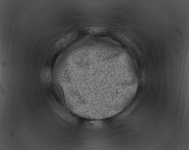 X0000090500478200708031213