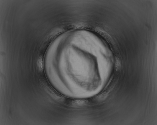 X0000090500479200708031213