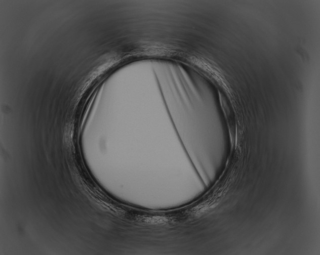 X0000090500483200708031212