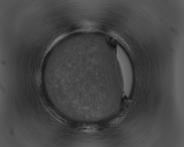 X0000090500484200708031212