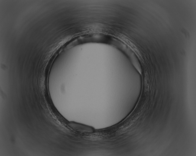 X0000090500485200708031212