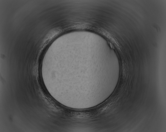 X0000090500486200708031212