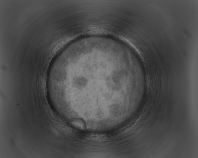 X0000090500487200708031212