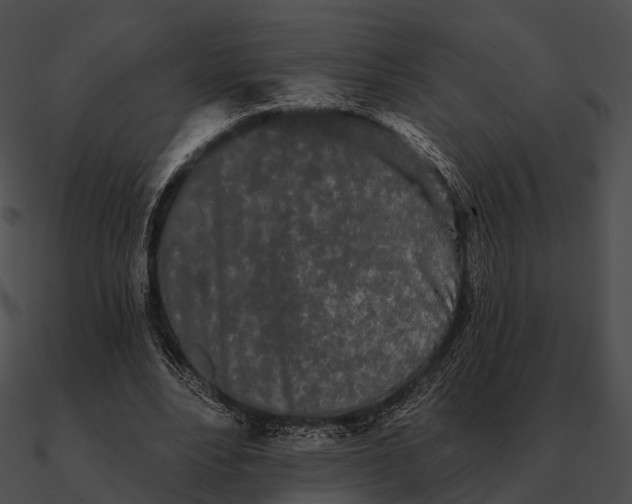 X0000090500488200708031212