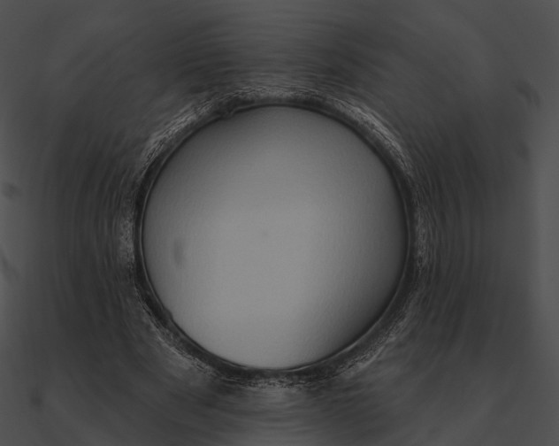 X0000090500489200708031212