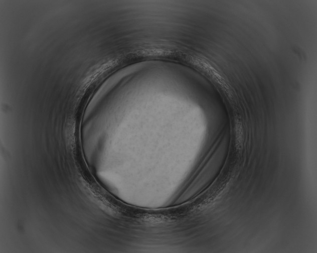 X0000090500490200708031212