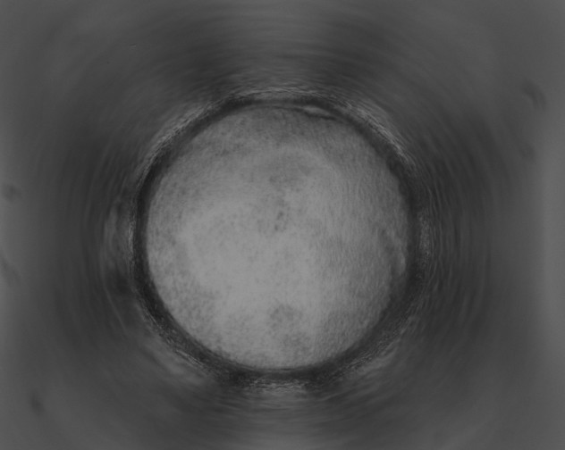 X0000090500491200708031212