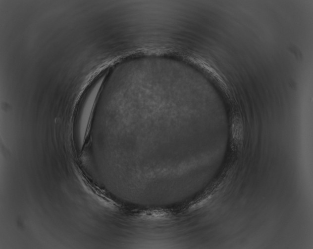 X0000090500492200708031212