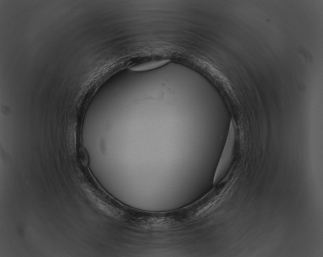 X0000090500493200708031212