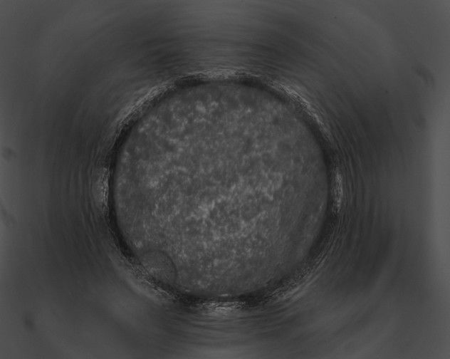 X0000090500495200708031212