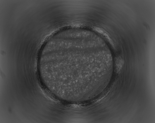 X0000090500496200708031212