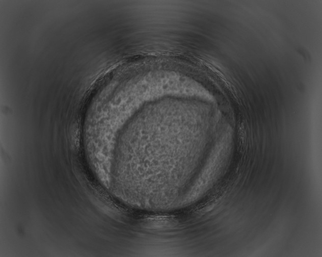 X0000090500499200708031212