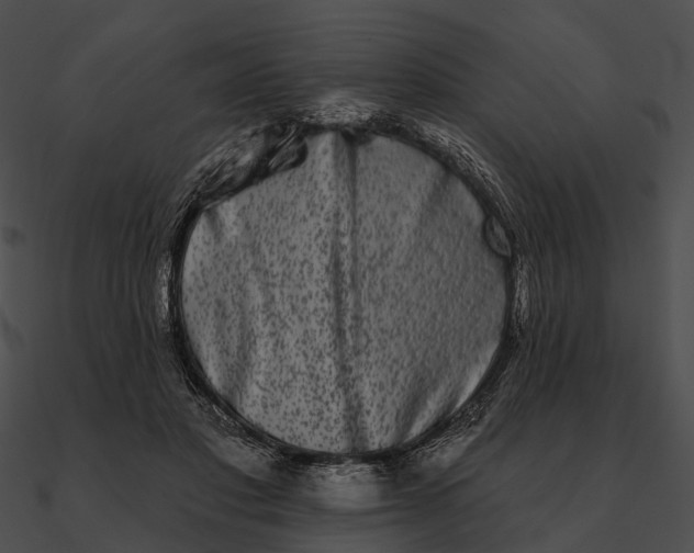 X0000090500501200708031212