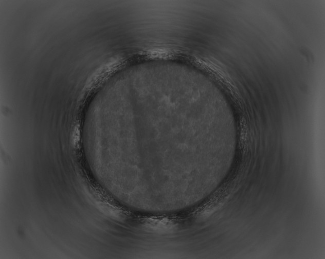 X0000090500502200708031212