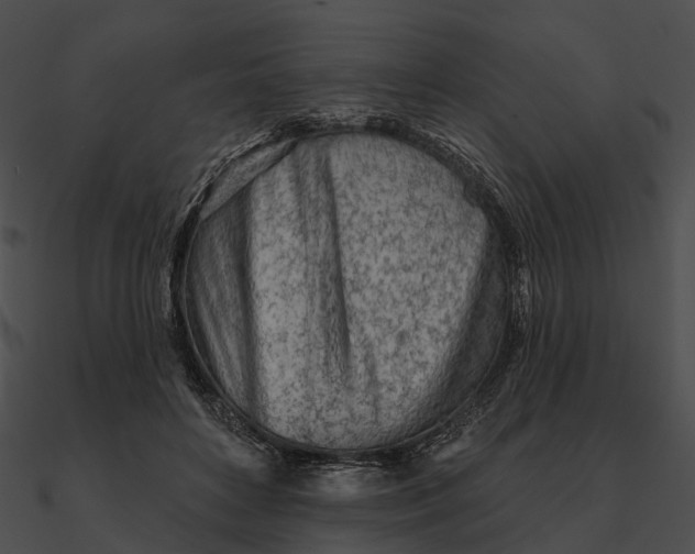 X0000090500504200708031212