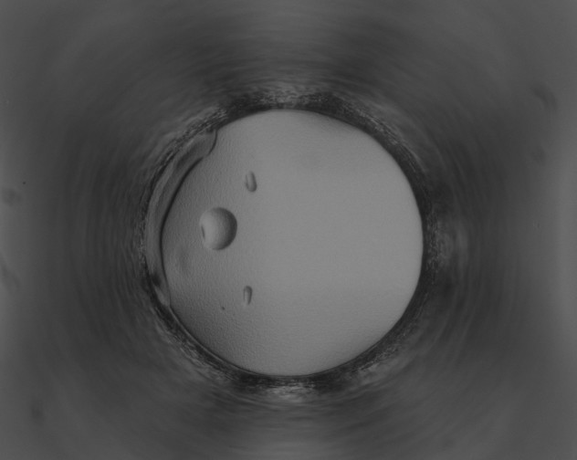 X0000090500505200708031212