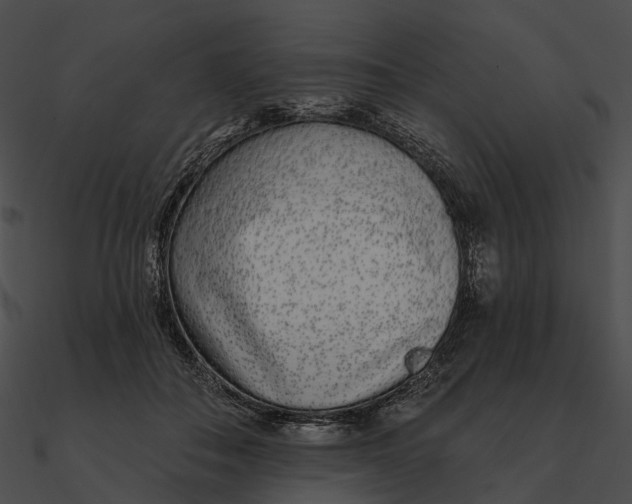 X0000090500506200708031212