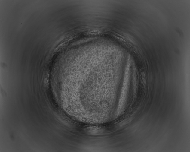 X0000090500507200708031212