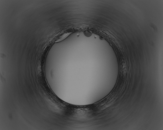 X0000090500508200708031212