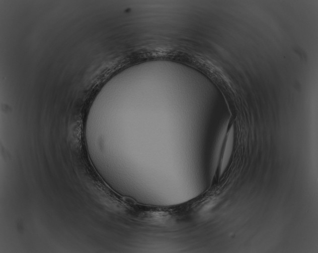 X0000090500509200708031212