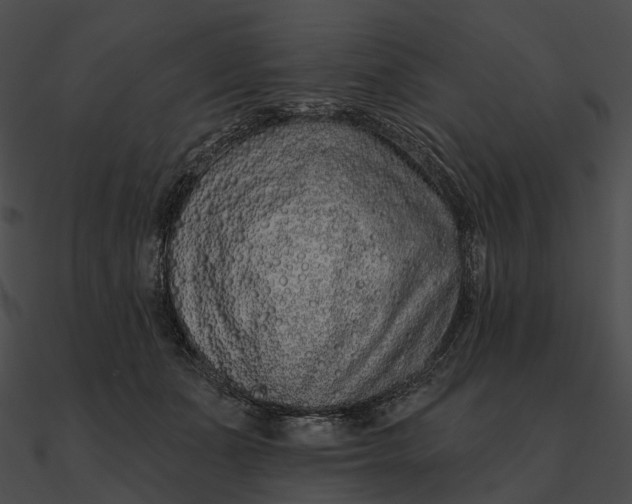 X0000090500511200708031212