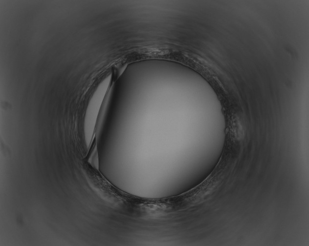 X0000090500512200708031212