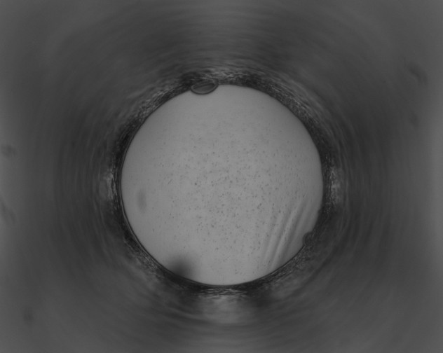 X0000090500514200708031212