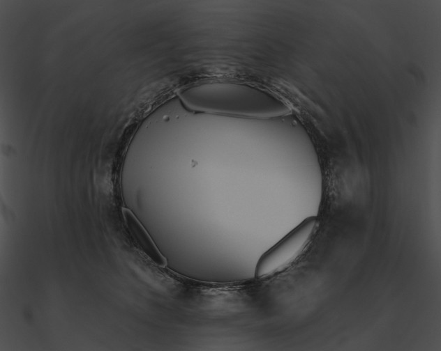 X0000090500516200708031212