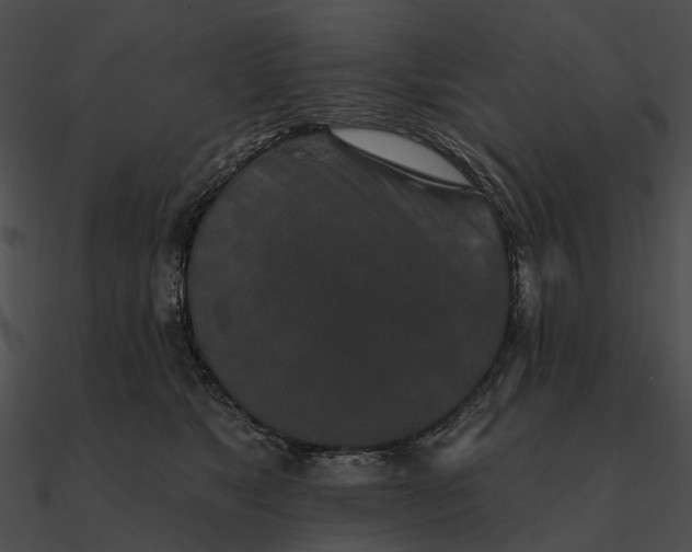 X0000090500517200708031212