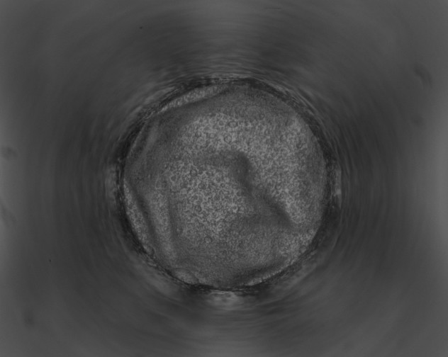 X0000090500519200708031212