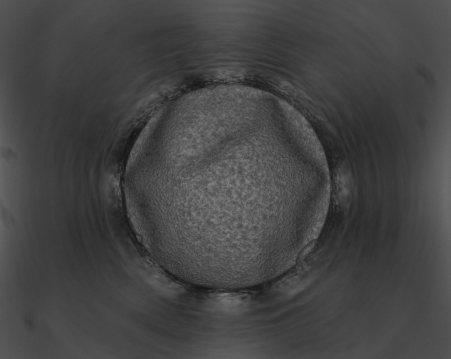 X0000090500522200708031212