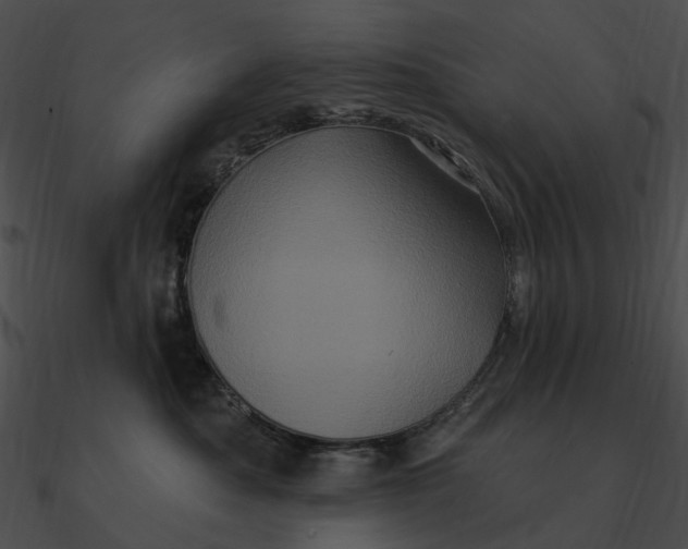 X0000090500525200708031212